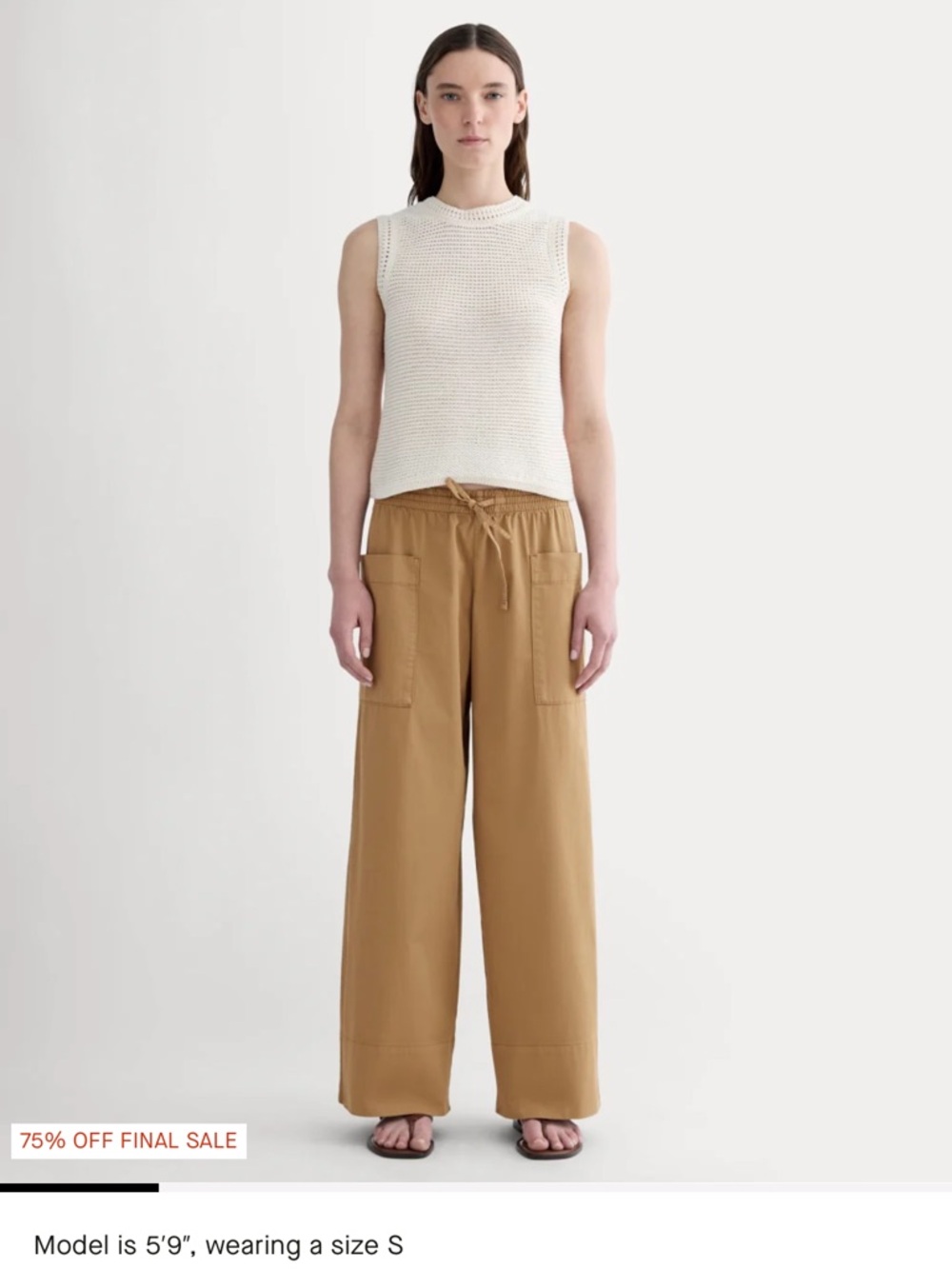 Everlane Cotton Poplin Cargo Pants, XL.  Tiger’s eye color. NWT